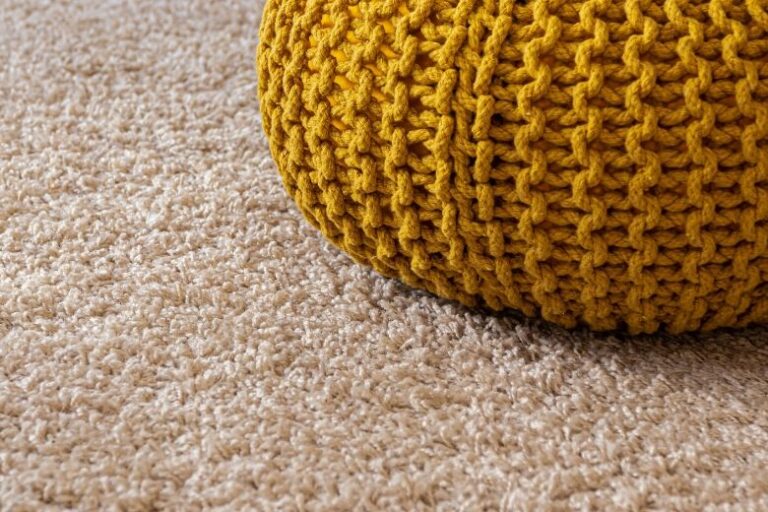 Some insects love to settle in your carpet