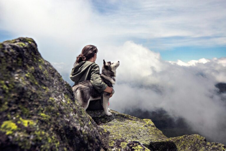 7 Tips to Keep in Mind When Traveling with a Pet