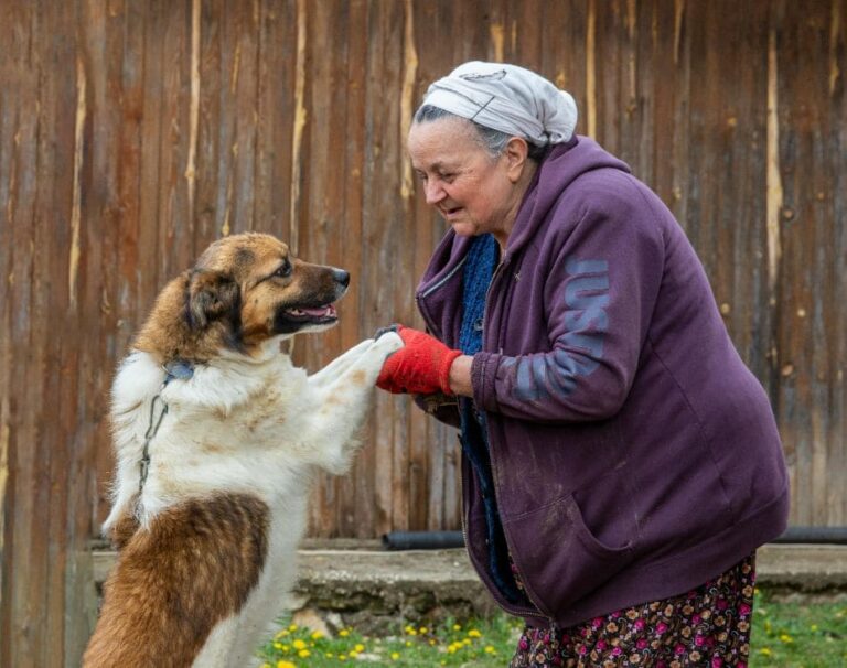 10 Low Maintenance Pets For Elderly People