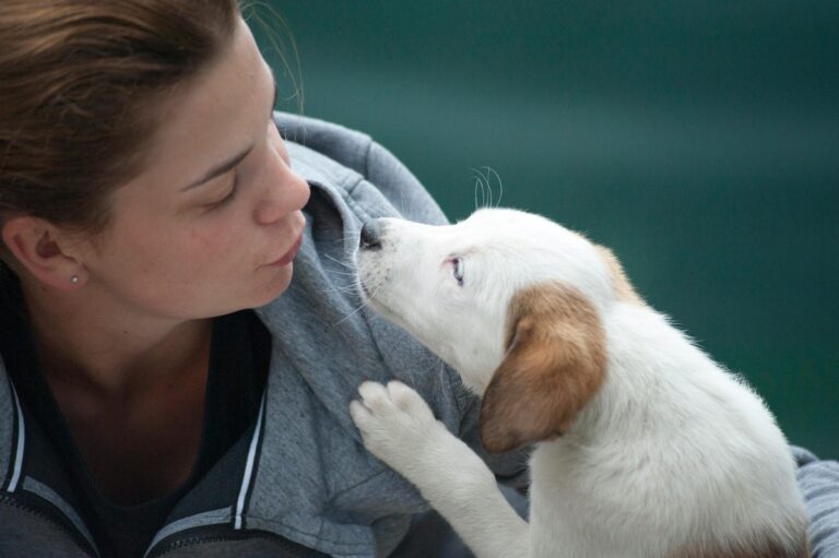 13 Loyal Dog Breeds That Love With Their Whole Hearts