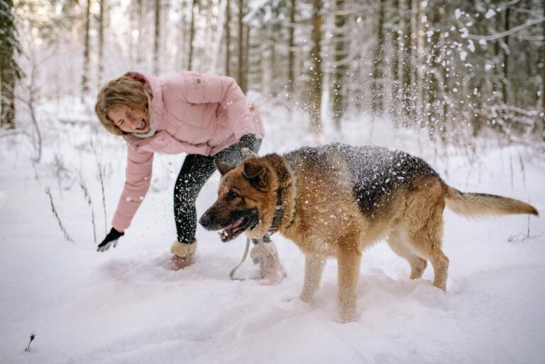 Do Dogs Get Cold? Signs Your Dog Needs More Warmth