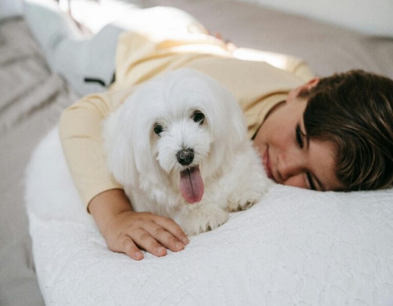 15 Dog Breeds That Bond with Humans More Than Other Dogs