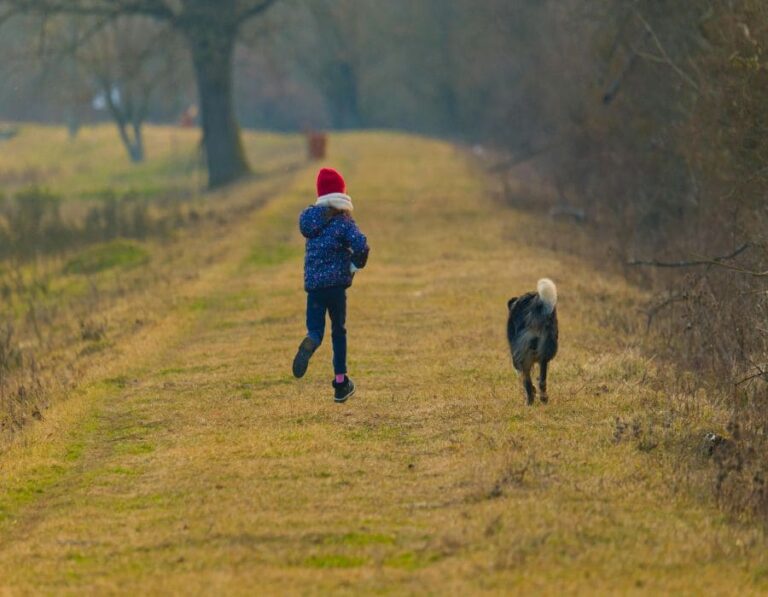 10 Dog Breeds That Stay Loyal No Matter What